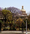 IMG_5569