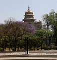 IMG_5571