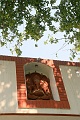 IMG_5828