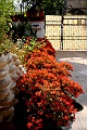 IMG_5829