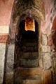 IMG_5869