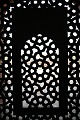 IMG_5911