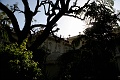 IMG_6104