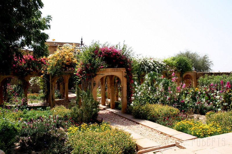 IMG_6347.JPG - And the garden is just beautiful.