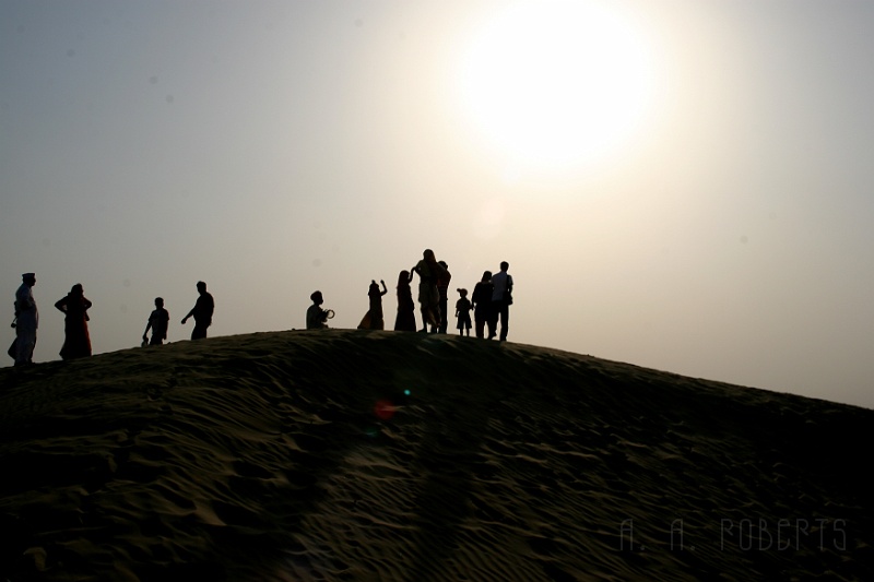 IMG_6413.JPG - Dancing in the sun.