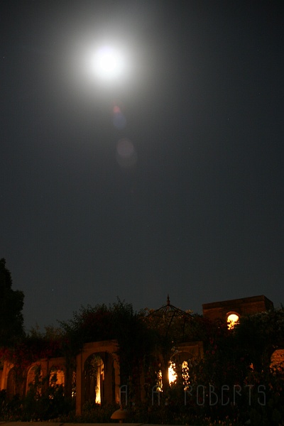 IMG_6554.JPG - So it's a full moon and Holi is coming... I smell magic in the air.