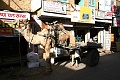 IMG_6159