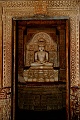 IMG_6222