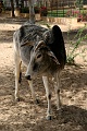 IMG_6304