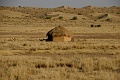 IMG_6403