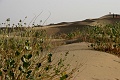 IMG_6408