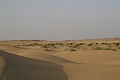 IMG_6434