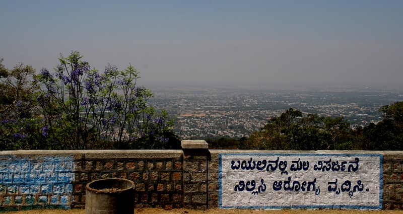 IMG_5613.JPG - This is the view from those steps.