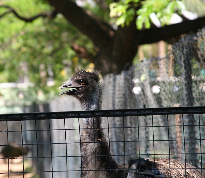 IMG_5747.JPG - "What!!!!!! What!!!!! What! What! What!!!!!!!!"