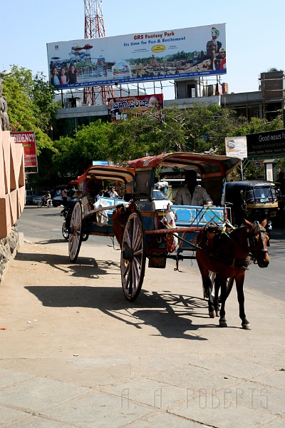 IMG_5755.JPG - As I said before, there are many different choices for transportation in India.