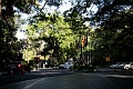 IMG_5582