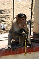IMG_5587