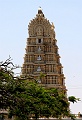 IMG_5594