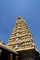 IMG_5603