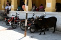 IMG_5620