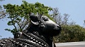 IMG_5628
