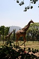 IMG_5640