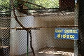 IMG_5645