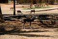 IMG_5667