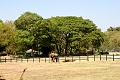 IMG_5707