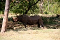 IMG_5716