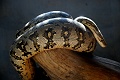 IMG_5719