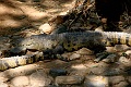 IMG_5720