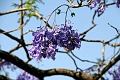 IMG_5752