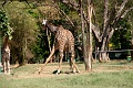 IMG_5754