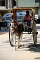 IMG_5756