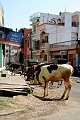 IMG_5764
