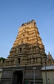 IMG_5768