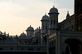 IMG_5782