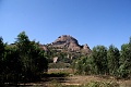 IMG_4959