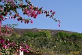 IMG_5124