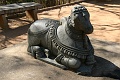 IMG_5126