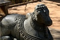 IMG_5127