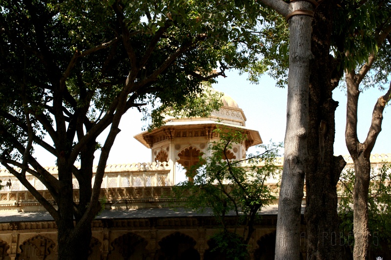 IMG_6743.JPG - This was taken from the courtyard at the top of the palace.  I guess the highest point was built on solid rock that's why these trees grow here.