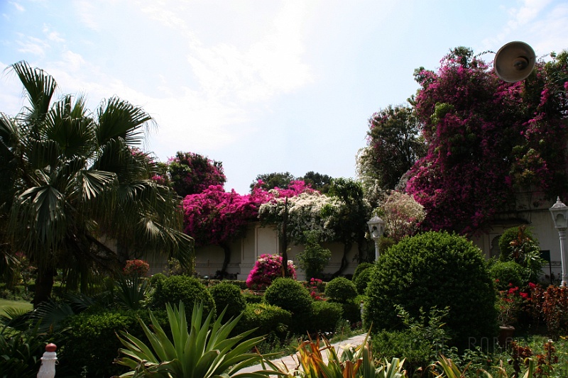 IMG_6935.JPG - Now this is a garden!
