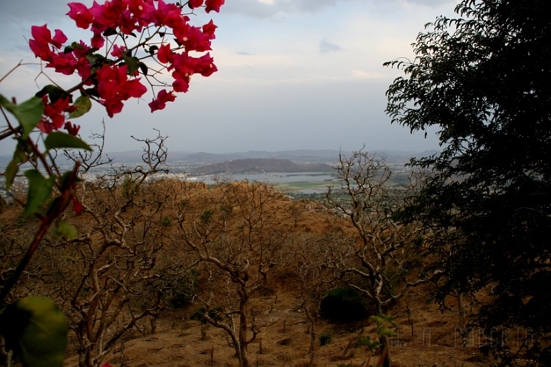 IMG_6962.JPG - Lake Pichola from the mountainside.