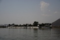 IMG_6944