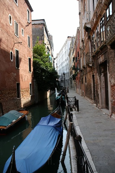 IMG_3521.jpg - No cars!