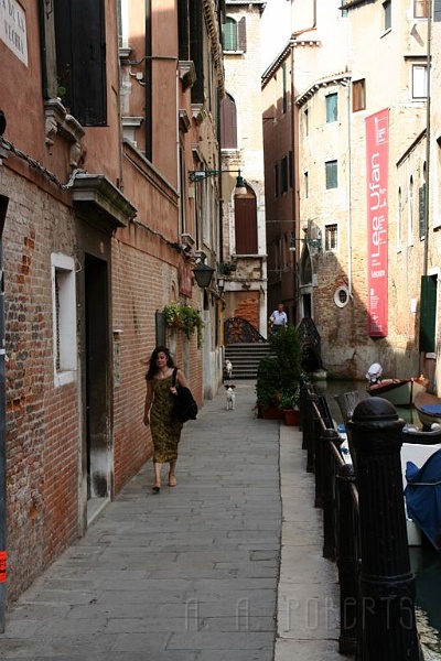 IMG_3523.jpg - There are no leash laws in Venice.