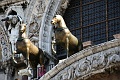 IMG_3639