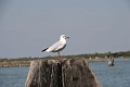 IMG_3671